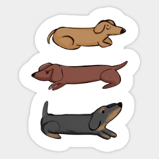 Three Dachshunds Sticker